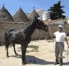 Masseria Badessa Azienda Agricola Alberobello