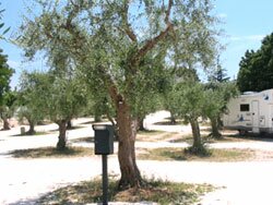 Camper Service Nel Verde Alberobello Bari